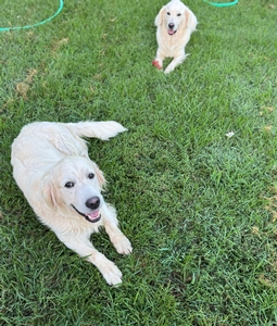 Kali and Loki