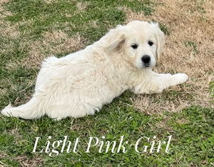 girl Light Pink